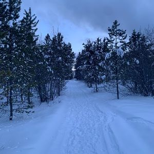 Meet your Posher, Carly